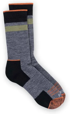 pistil Men's Ryder Crew Socks